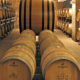 Interno di una cantina vinicola con file di botti in legno per l'invecchiamento del vino, per servizi di food marketing in Calabria curati da Twister ADV.