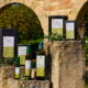 Olio extravergine d'oliva Santa Chiara dell'Azienda Agricola Fazzolari realizzato da Twister ADV Catanzaro Calabria