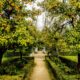 Giardino fiorito con alberi da frutto e vialetto curato da Mattarossa Garden nella Piana di Gioria Tauro in provincia di Reggio Calabria